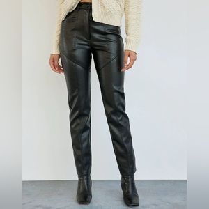 Aritzia Wilfred Rebel pants